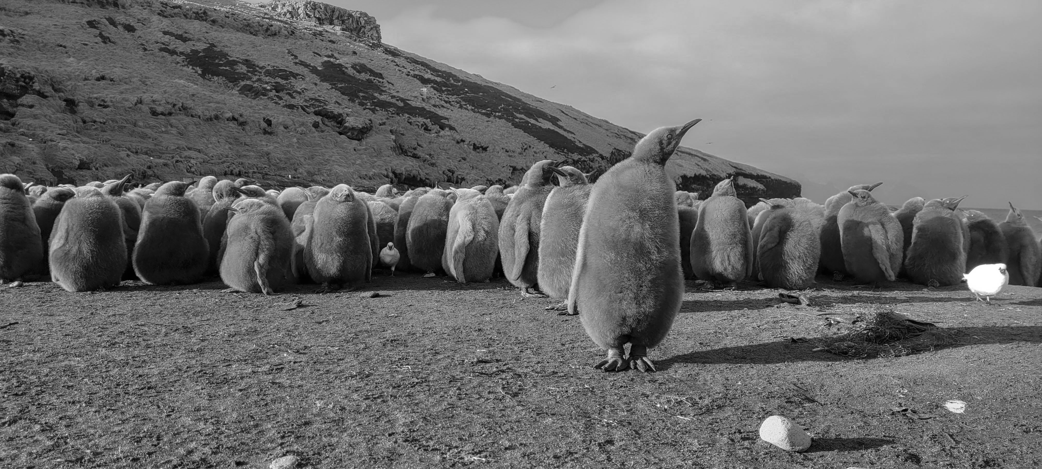 GYT 20220701 145845 20220701 145845 2